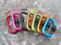 Carabiner Keychain and Backpack Bottle Clip