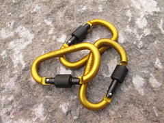Carabiner Keychain and Backpack Bottle Clip