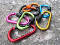 Carabiner Keychain and Backpack Bottle Clip